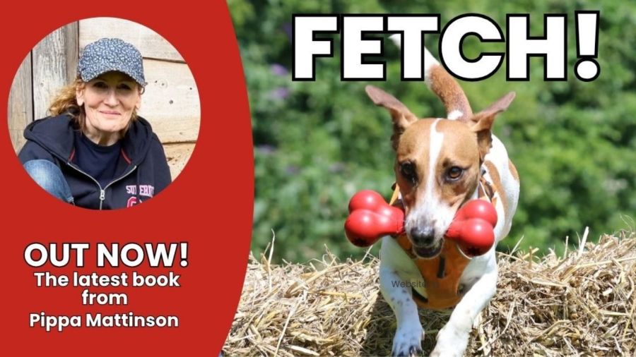 dog and book author dry vs kibble