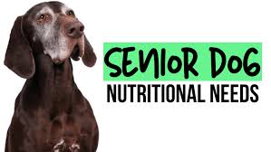 Senior Dog Nutrition