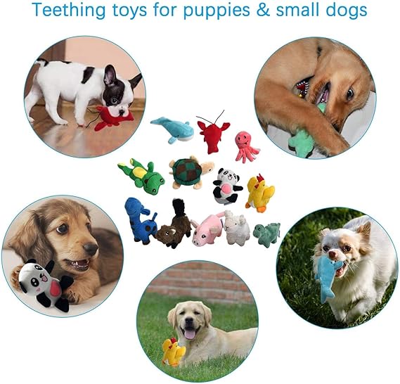 LEGEND SANDY Squeaky Plush Dog Toy Pack for Puppy, Small Stuffed Puppy Chew Toys 12 Dog Toys Bulk with Squeakers. - Image 3